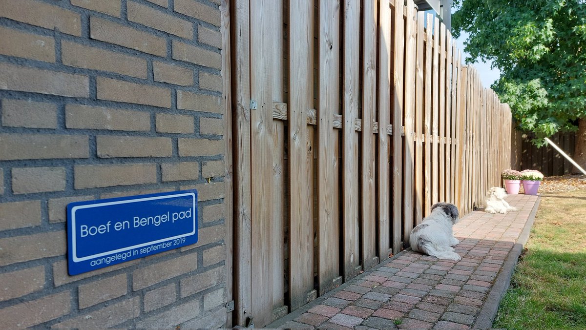 Boef_Bengel's tweet photo. September 2019-2022. Ons pad ligt er drie jaar. Nog even genieten, zolang het nog kan. https://t.co/eNTuZUtZOz