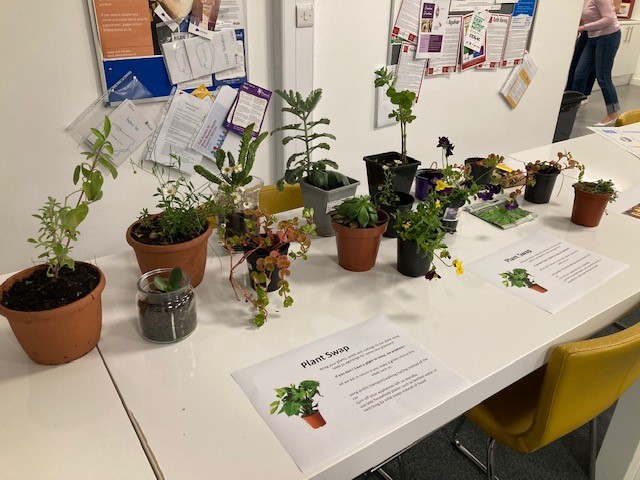 GreenerLSTM's tweet image. A big thank you to everyone for plant-swapping 🪴, bike-fixing 🚴‍♂️ and litter-picking🗑 among many other activities and making LSTM Green Week at the end of May a success!