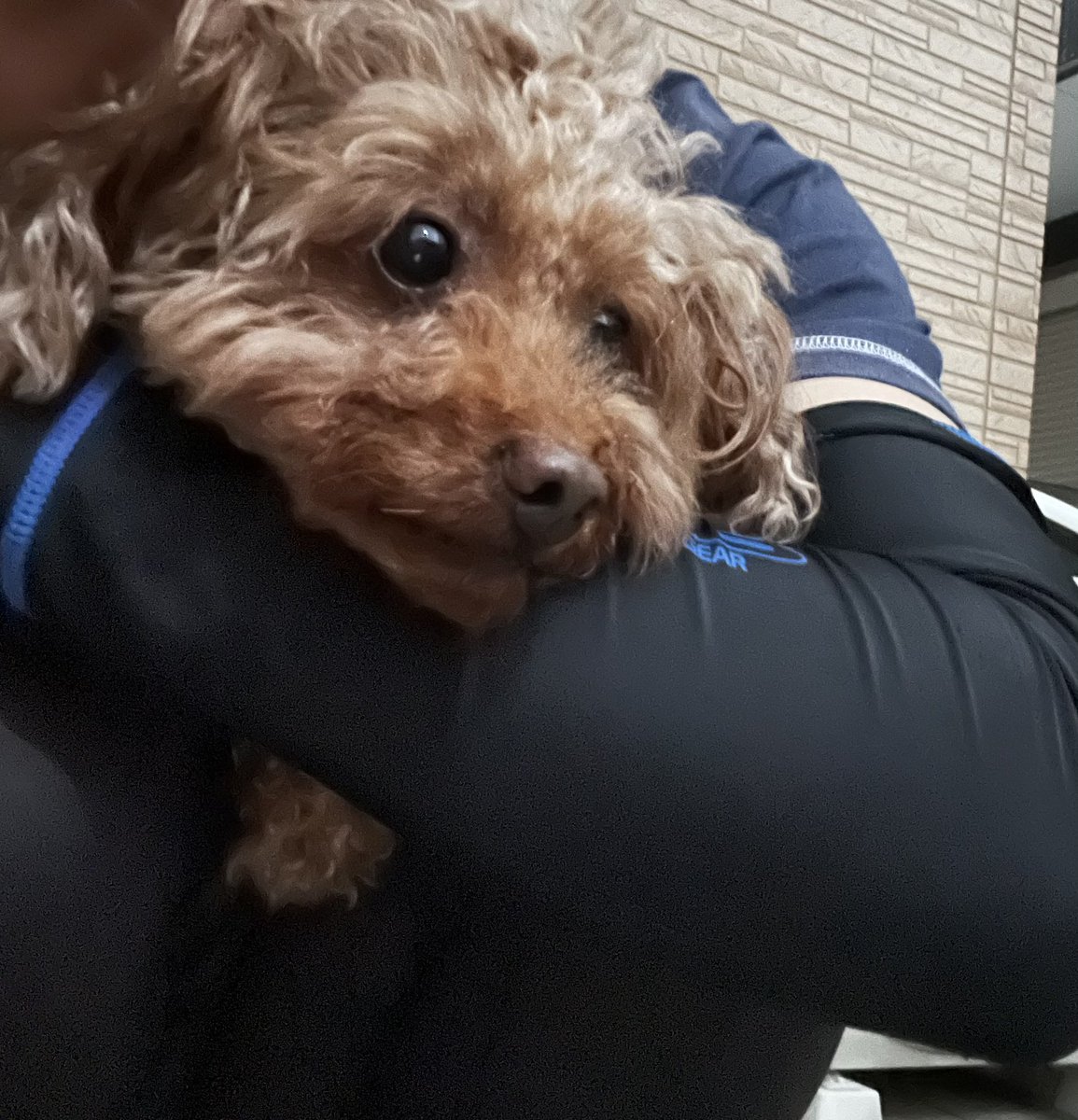 サクちゃん。 (@U6hZc) / Posts / X