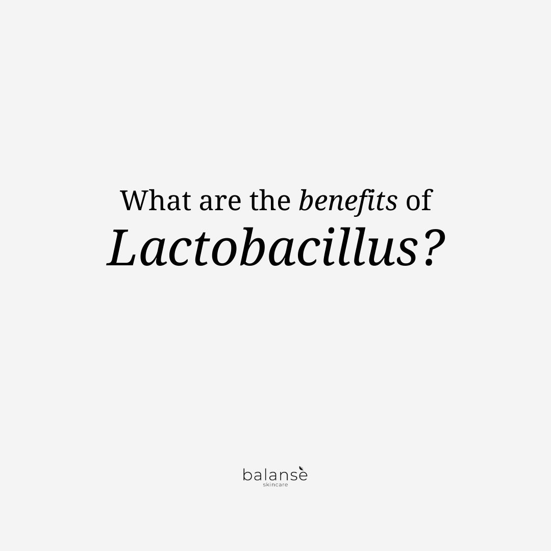 BalansePh's tweet photo. Did you know? Lactobacillus can help calm and comfort your irritated skin. Read on to know more about Lacto-Cica Ampoule.

New Stocks Available:  https://t.co/26BMvVdyp9

#balanse #lactocica #lactocicaampoule #ampoule #ampoulelactocica #lactobacillus #skincare #skincalming https://t.co/bsyxn3pwA1