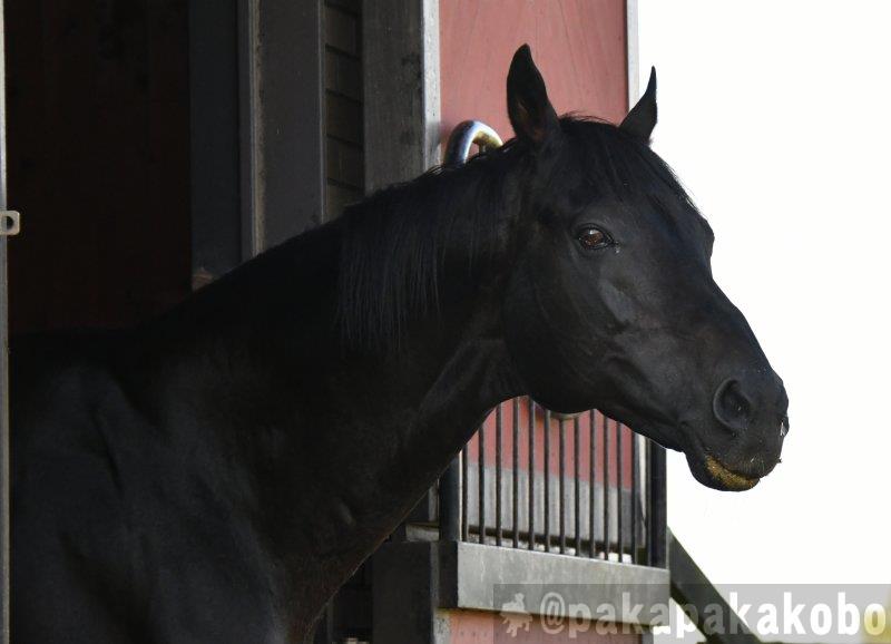 渡辺篤史 画像 最新情報まとめ みんなの評判 評価が見れる ナウティスモーション