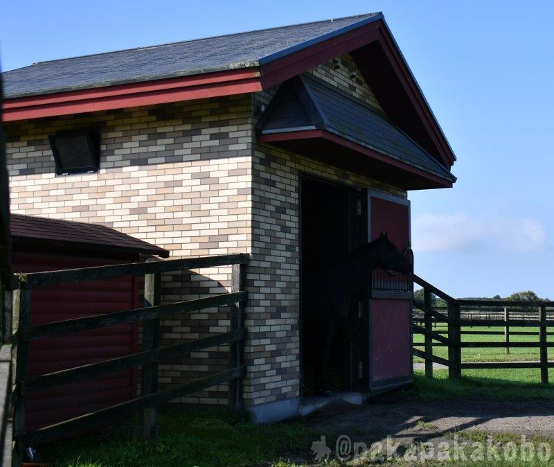 渡辺篤史 画像 最新情報まとめ みんなの評判 評価が見れる ナウティスモーション