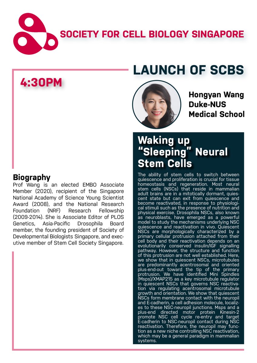 Society for Cell Biology Singapore tweet media