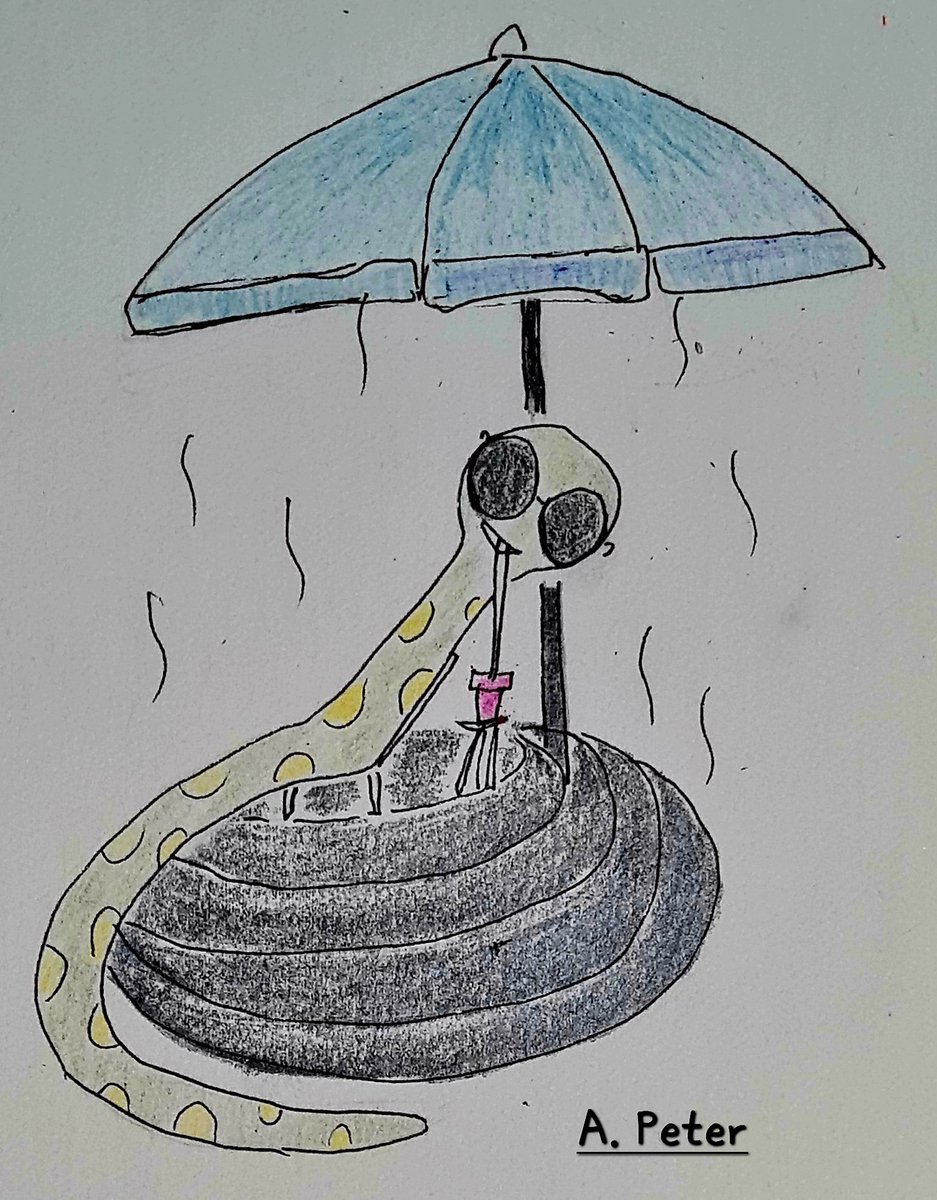 The egg was broken and a large hole had developed. I had never seen an egg hatch. Jimmy lifted it and peeled off a bit of the shell. The chick trembled inside. It wasn’t fear, it was just the way new life happened.

viewfromthetopofthetank.blogspot.com/2022/09/fishy-…
#ya #fiction #websweweave #egg #kerala