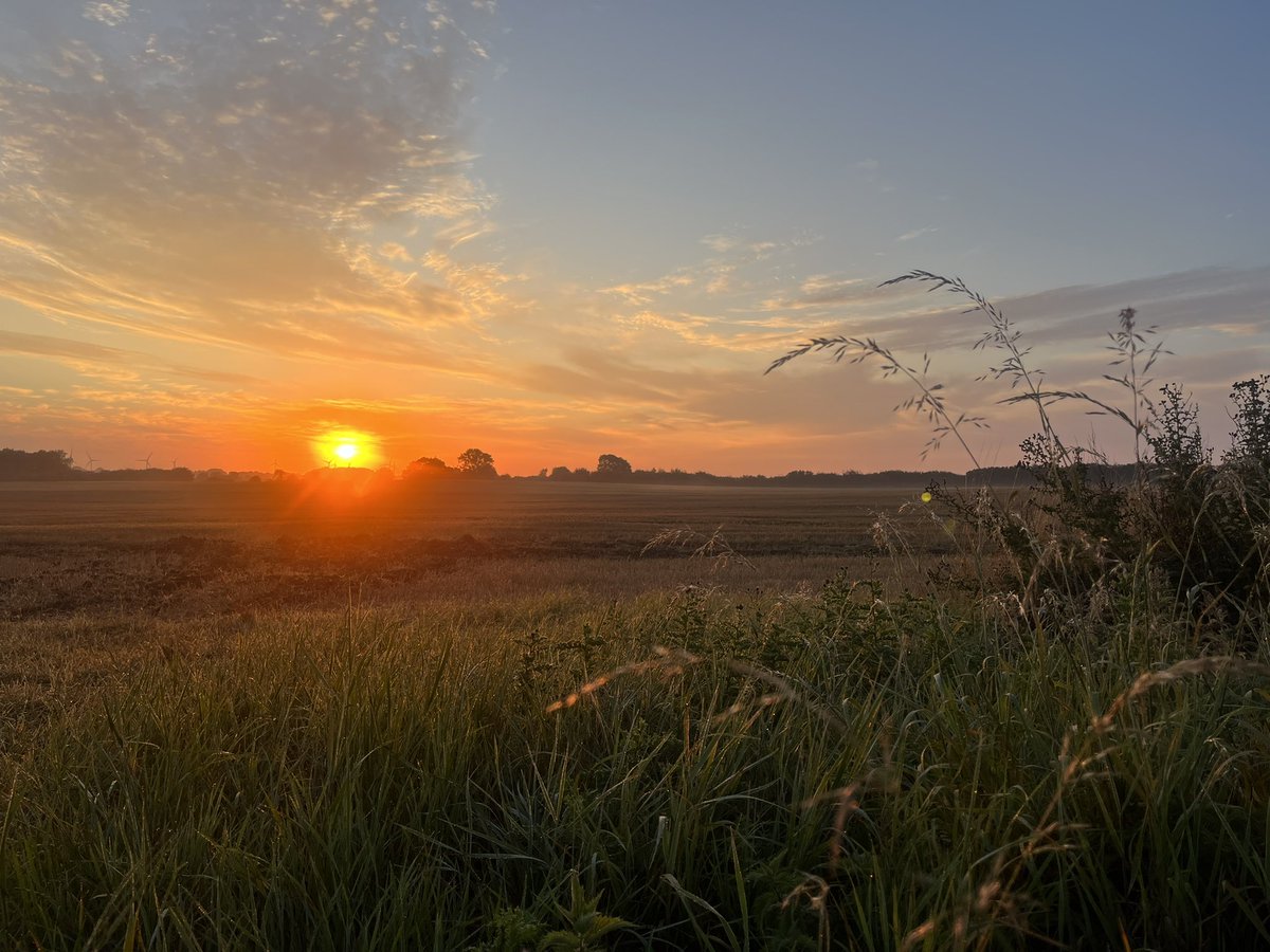 Amanda White tweet media