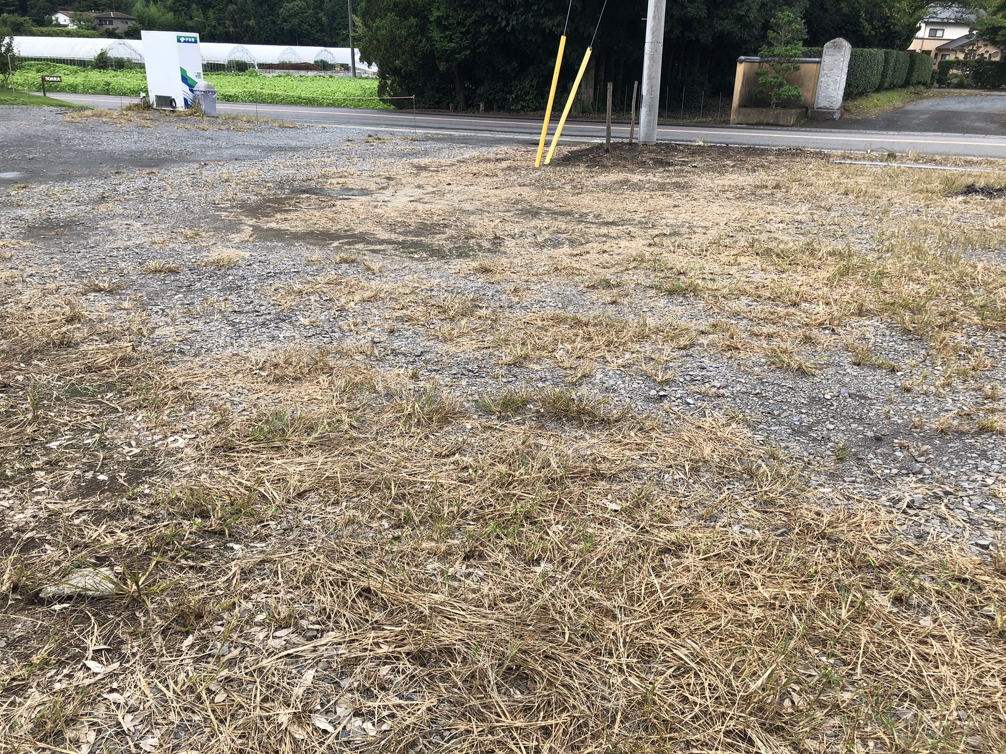 Halfday Off Life Halfday Off Twitter