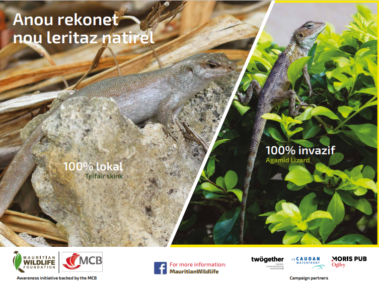 mwfWildlife's tweet photo. Anou rekonet nou leritaz natirel
Scinque de Telfair vs agame

Lien vers le texte: https://t.co/LnvfpuK6U5 https://t.co/8LilVKkLKa
