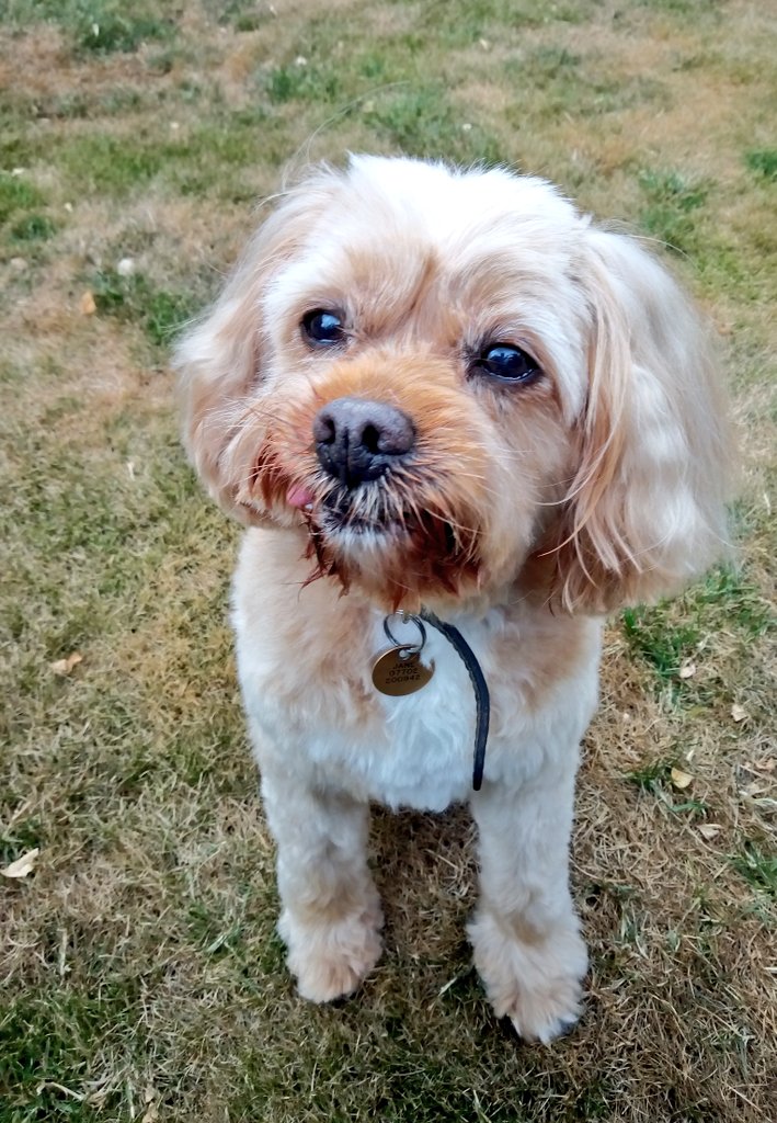 KC 📚 Casey's Pages tweet media