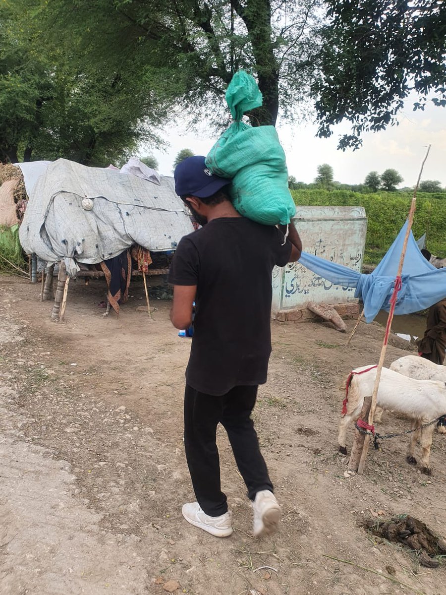 DevenderMalhi's tweet photo. Send your donations to the following account
Account No: 04195334771000
IBAN:PK77SIND0004195334771000
Account Title: Devender Kumar
Sindh Bank LTD
Easypaisa/JazzCash Account No: 03312773297
#MSDOSindh #YLC #SindhReliefOperations2022
#UmerkotFloods #PakistanFloods #FloodinPakistan https://t.co/9Aa9KkAgXs