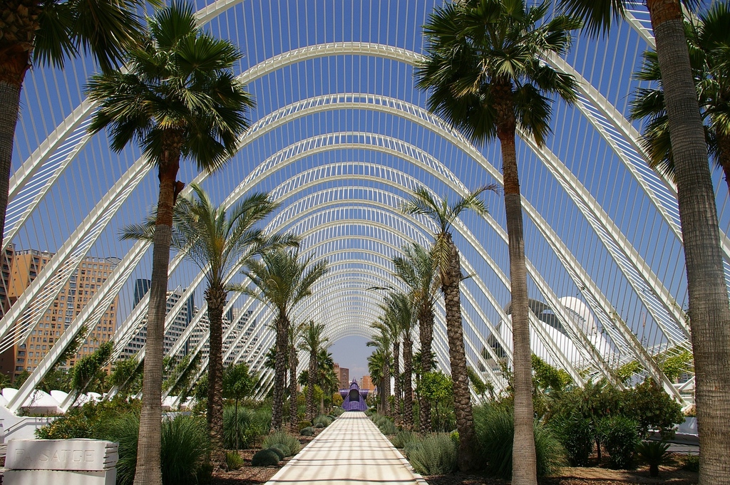 interactca20120's tweet photo. We have two deadlines for you today: 
✔️ Registrations for the upcoming #interactca20120 meeting and workshop (Sept. 20-22) in Valencia, Spain. 
✔️ Request for a TD number if you want to present your work! 
More info: https://t.co/xoO7pQEAWL

@COSTprogramme #costactions https://t.co/cCSXf1zJpU