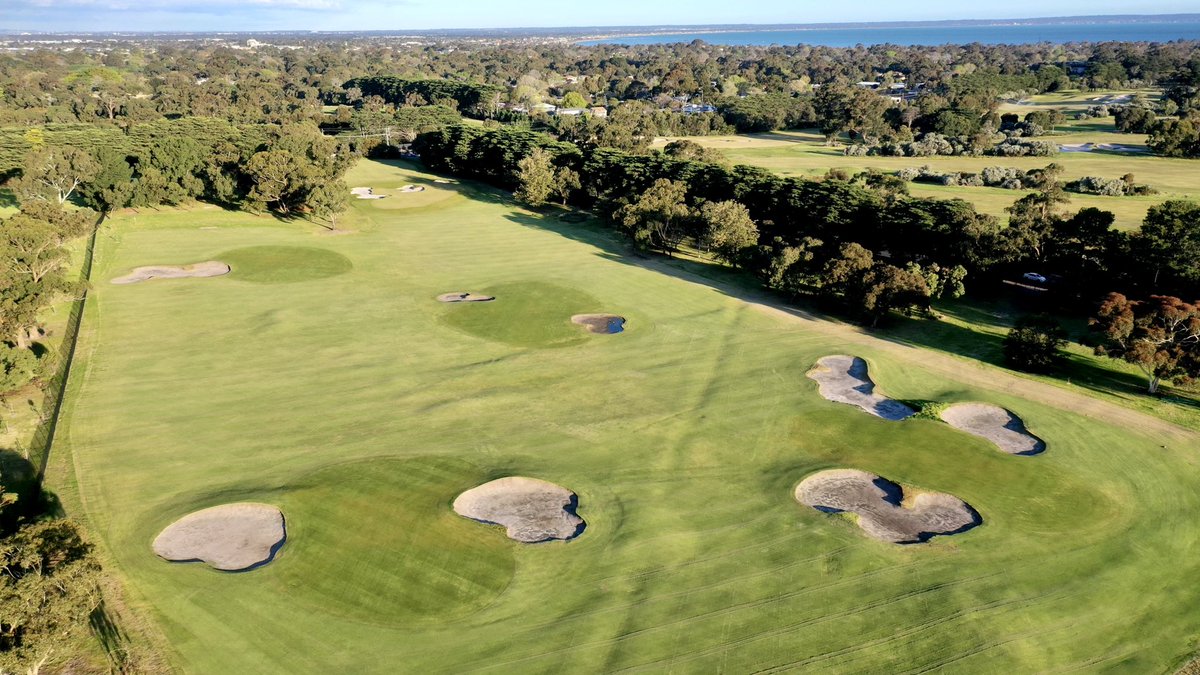 sandygolflinks tweet media