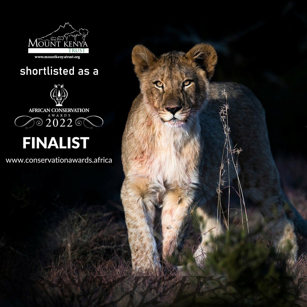 mountkenyatrust's tweet photo. BREAKING NEWS: The Mount Kenya Trust has been announced as a finalist in the Conservation Team category of the @RhinoAwards
The winner will be announced on the 17th Sep 2022.
#MountKenyaTrust #AfricanConservationAward #conservationaward #africaconservation #conservationwork https://t.co/TuGA5Ae87P