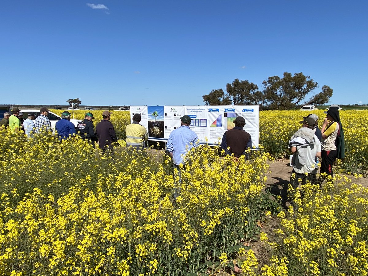 David Pfeiffer tweet media