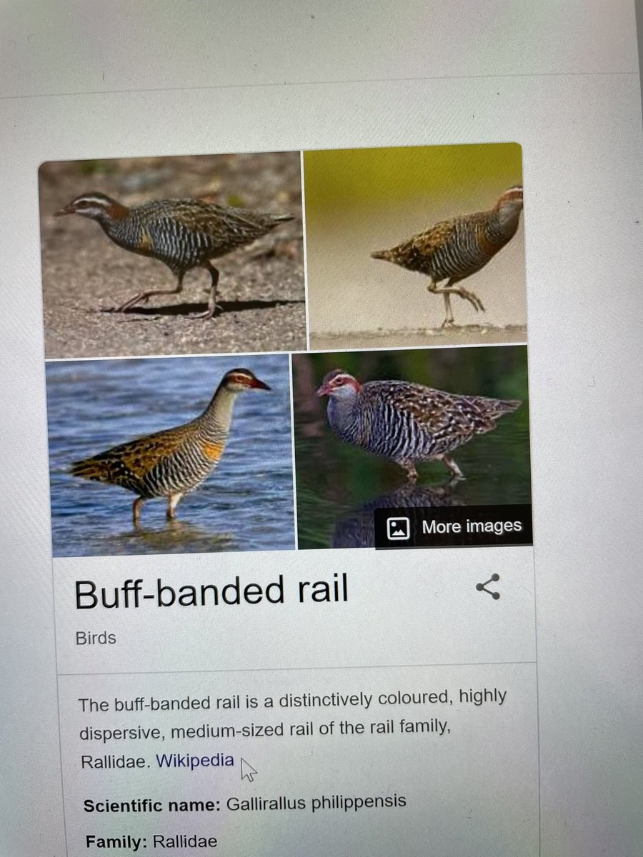 Matt Witney tweet media