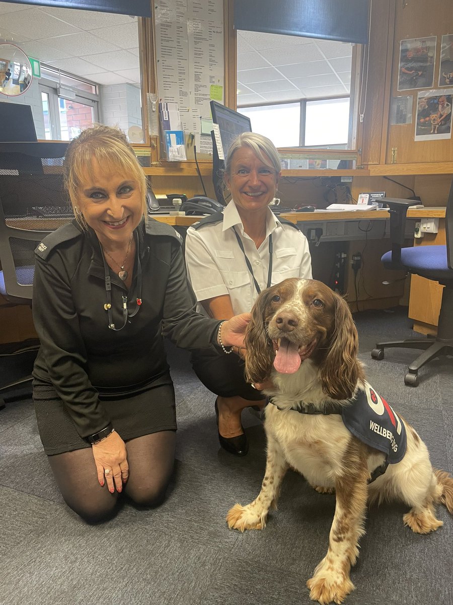 ChaseOk9's tweet photo. Chase visited Rotherham property stores, enquiry desk, Roth LPT &amp; Rawmarsh NPT - his happy waggy tail definitely lifted spirits 🐾 ❤️ @OscarKiloNine @syptweet #wellbeingdog #ThinBlueLine #MentalHealthMatters https://t.co/Dv5azC6ydd