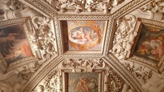 Domenica 4 settembre ingresso gratuito al Museo Naturalistico Archeologico e alle Gallerie di Palazzo Thiene dalle 10 alle 18 per residenti in provincia e comune di Vicenza. Vi aspettiamo!