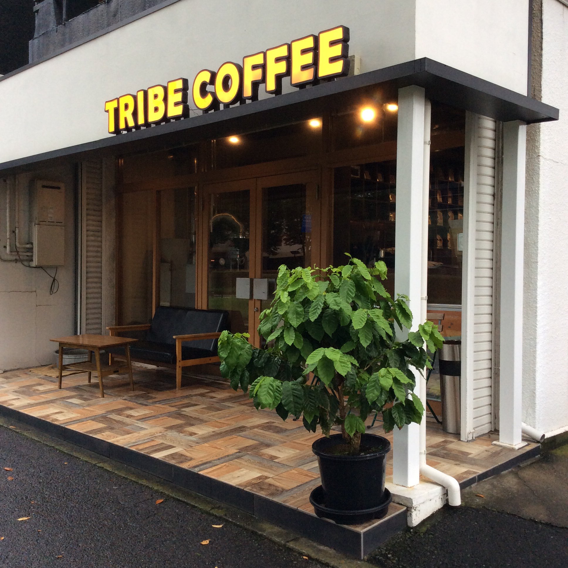 トライブ Tribe58 Twitter