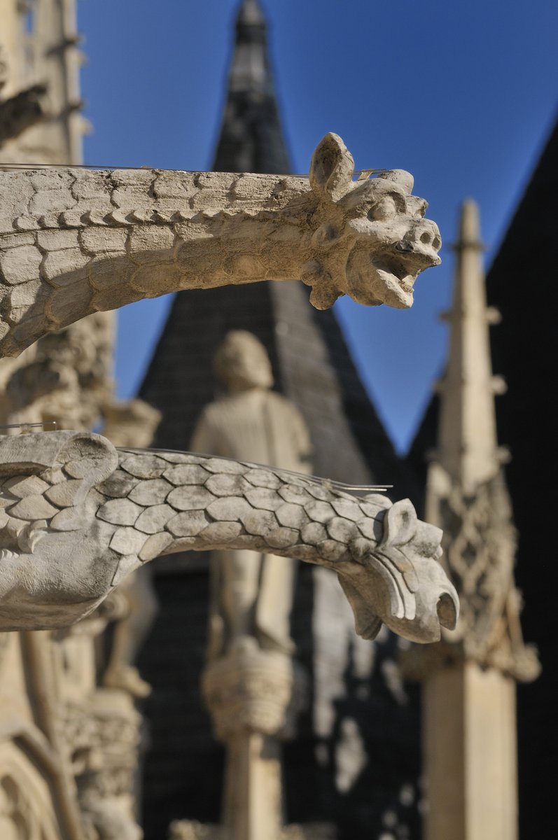 RouenTourisme's tweet photo. Ce dimanche, #guide et #conteuse vous font vivre le #patrimoine #rouennais autrement avec la #visite contée Du coq au loup 🐓 🐺
Infos & réservation
👉 https://t.co/WtyH1fOOsb https://t.co/eKsfPfXcsd