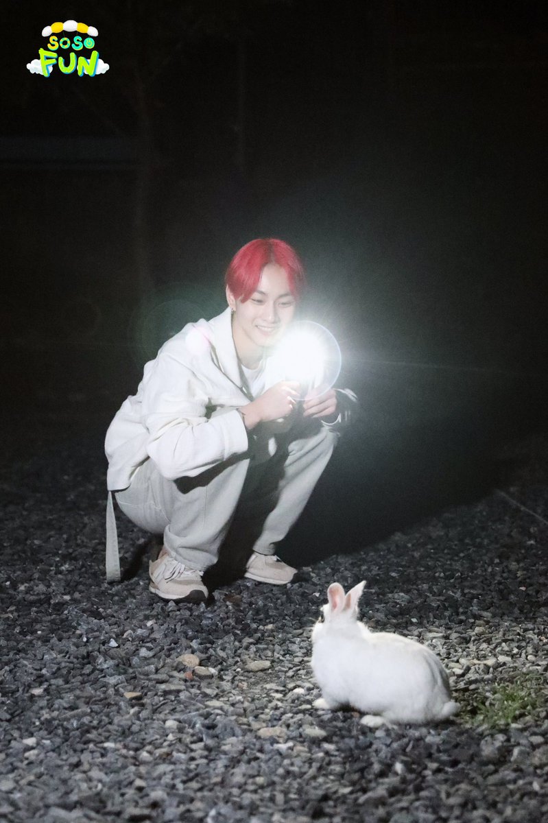 ENHYPEN WEVERSE tweet media