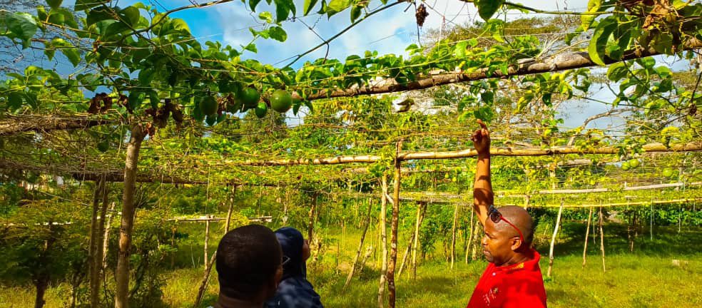 DG_ANPIComores's tweet photo. 🤝 Accompagner les entreprises, c’est être témoin de leurs histoires, et en faire un peu partie.

🙏 Merci à la team #ComoresVanilla pour nous avoir ouvert les portes de leurs plantations, mais aussi de leurs espoirs et de leurs ambitions. Nous les partageons et les soutenons. https://t.co/3zMwfrwwBN