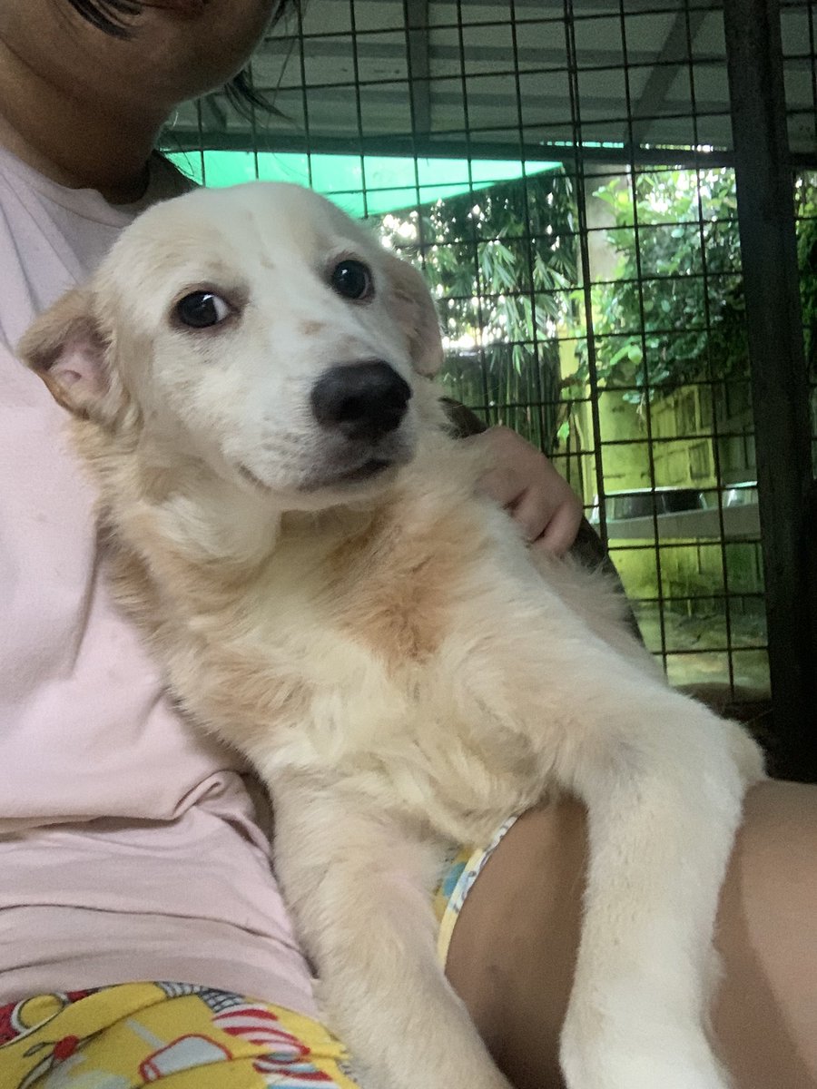 leeyamae_p's tweet photo. chonkee pics i love: a thread kasi naglinis aq ng quarantine area at nasenti HAHA

(1/4) https://t.co/gMcCOZg6on