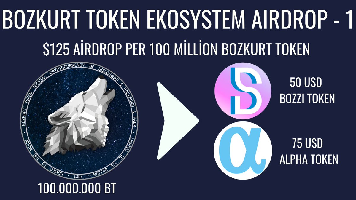 Bozkurt Token tweet media