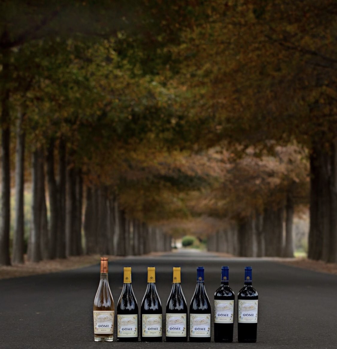 TheWineDown_'s tweet photo. Wine for tastings on the day. Ticket link in bio https://t.co/13USBHVfZD