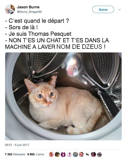 coco de Nice tweet media