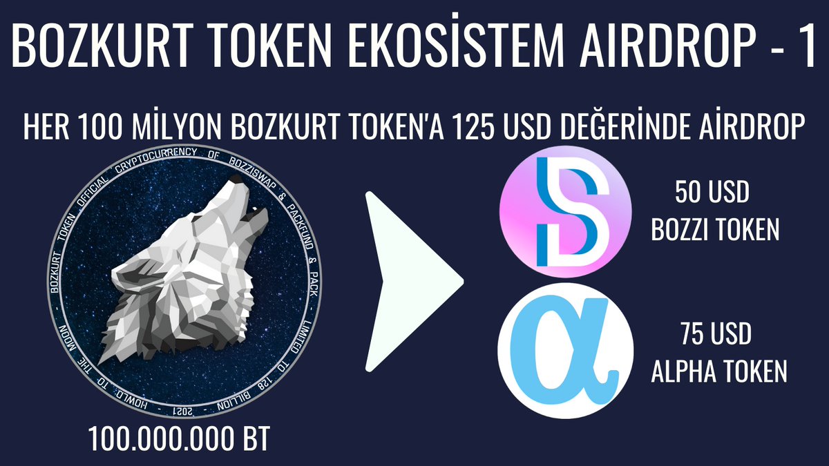 Bozkurt Token tweet media