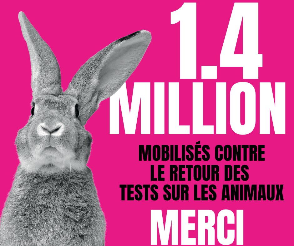 The Body Shop France tweet media