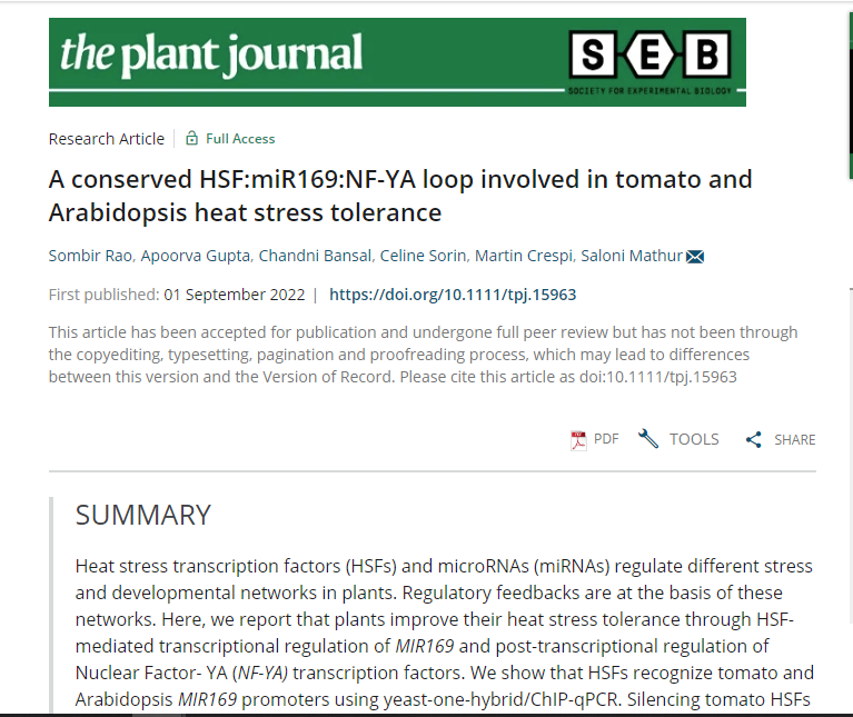 SMLAB108's tweet photo. The latest research from @SMLAB108 highlights the role of #HSFs, #miRNAs and #NuclearFactorYA in combating #heatstress.
Authors- @SombirRao5 @Apoorva_Gupta28 @Bansal16Chandni
For more details, read👇👇👇 https://t.co/9FCYuqOWnA