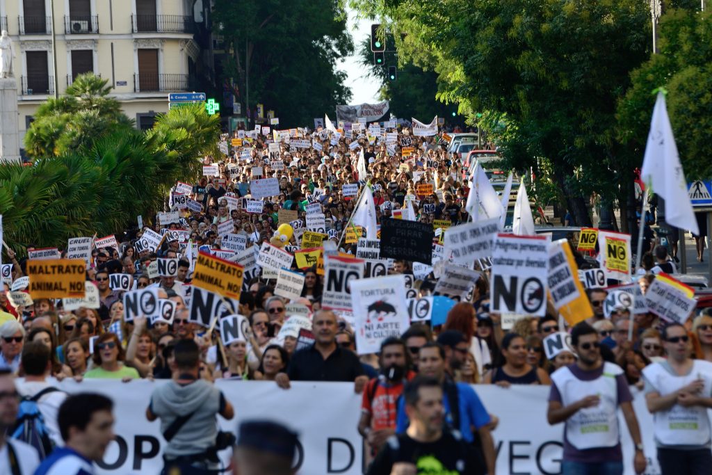 PartidoPACMA's tweet photo. Casi 70.000 personas han firmado ya contra el regreso del Toro de la Vega. ¡Sigamos firmando! Es urgente, los animales nos necesitan: https://t.co/WOfPjlTGej

Es intolerable que esta barbarie vaya a regresar a Tordesillas. https://t.co/jMevd9o4zJ