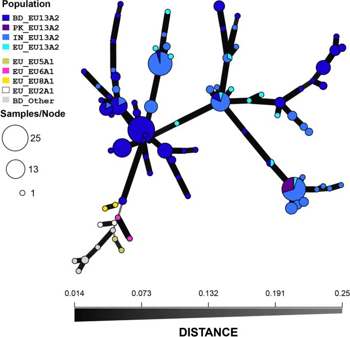 Late blight in Bangladesh: potato cultivars and Phytophthora infestans strains from Europe
rdcu.be/cUOUz