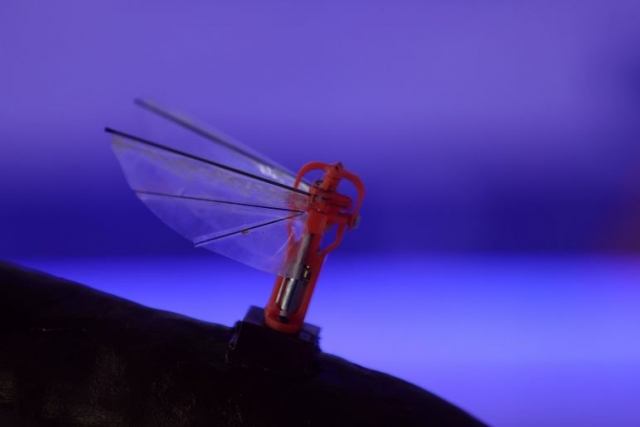 DefenseMirror's tweet photo. .@Aselsan @teknomacera @teknofest #Turkey #NanoUAV #FlappingWing #BayraktarTB2 #drone:: Turkey’s Aselsan Develops Flapping-Wing Nano UAV https://t.co/284IKsPDGp https://t.co/pAqJjuhFug