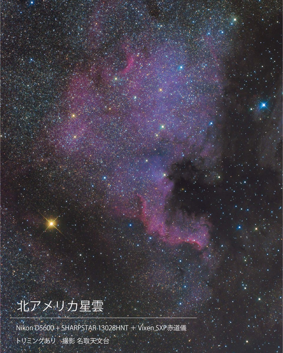 snct_planeta's tweet image. 反射望遠鏡で撮影した北アメリカ星雲です！

はくちょう座のデネブという星の近くにあり、北アメリカ大陸の形に見える星雲です^^

星がきれいに見える蔵王という山の上で撮影してきました😊

#名取天文台 #SHARPSTAR #サイトロン #ビクセン
