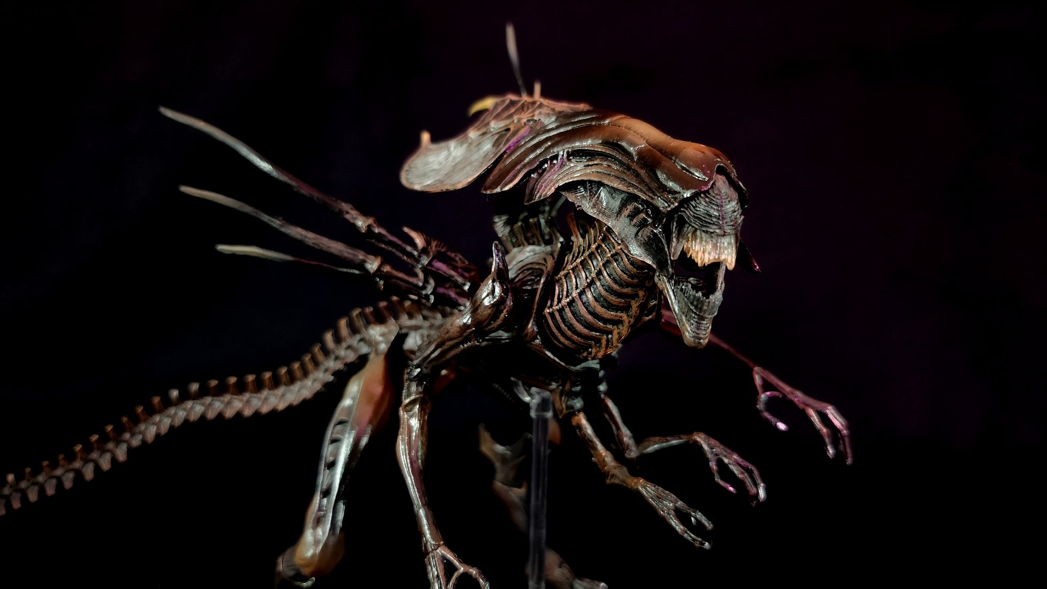 Predalien Facehugger