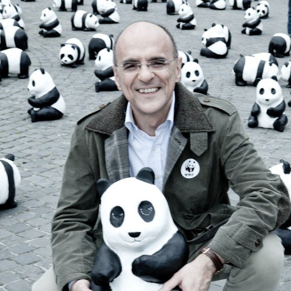 wwfitalia (@wwfitalia) on Twitter photo "Noi siamo natura. Un nuovo modo di stare al mondo" è il nuovo #libro di <a href="/bologna_g/">Gianfranco Bologna</a> in uscita oggi con <a href="/EdAmbiente/">EdizioniAmbiente</a>
Bologna ci riporta al Big Bang, proseguendo poi attraverso le ere, fino a farci comprendere le connessioni che animano il #pianeta
👉bit.ly/3TuFGGW "Noi siamo natura. Un nuovo modo di stare al mondo" è il nuovo #libro di <a href="/bologna_g/">Gianfranco Bologna</a> in uscita oggi con <a href="/EdAmbiente/">EdizioniAmbiente</a>
Bologna ci riporta al Big Bang, proseguendo poi attraverso le ere, fino a farci comprendere le connessioni che animano il #pianeta
👉bit.ly/3TuFGGW