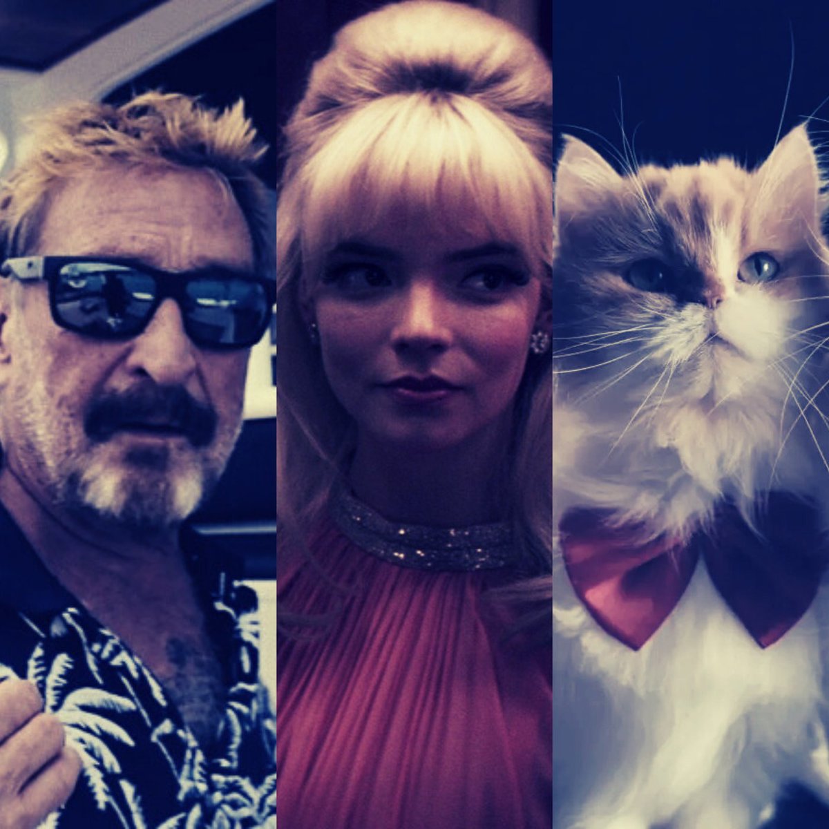 SplingMovies's tweet image. Spling reviews Running with the Devil: The Wild World of John McAfee, Last Night in Soho and Inside the Mind of a Cat...

Listen to the film review podcast -&amp;gt; bit.ly/3RwJ6qO

#RunningWithTheDevil #JohnMcAfee #LastNightinSoho #InsideTheMindOfACat #Film #Review #Podcast