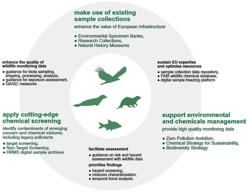 GeorgiosGkotsis's tweet photo. 📢The first @LIFEAPEX1 policy brief is published!🤩

"Towards harmonised sampling
and processing of archived #wildlife samples
to increase the #regulatory uptake of #monitoring
data in #chemicals management"

ℹ️ https://t.co/E7OZe2eQn6

#ApexPredators https://t.co/817acRd7PZ