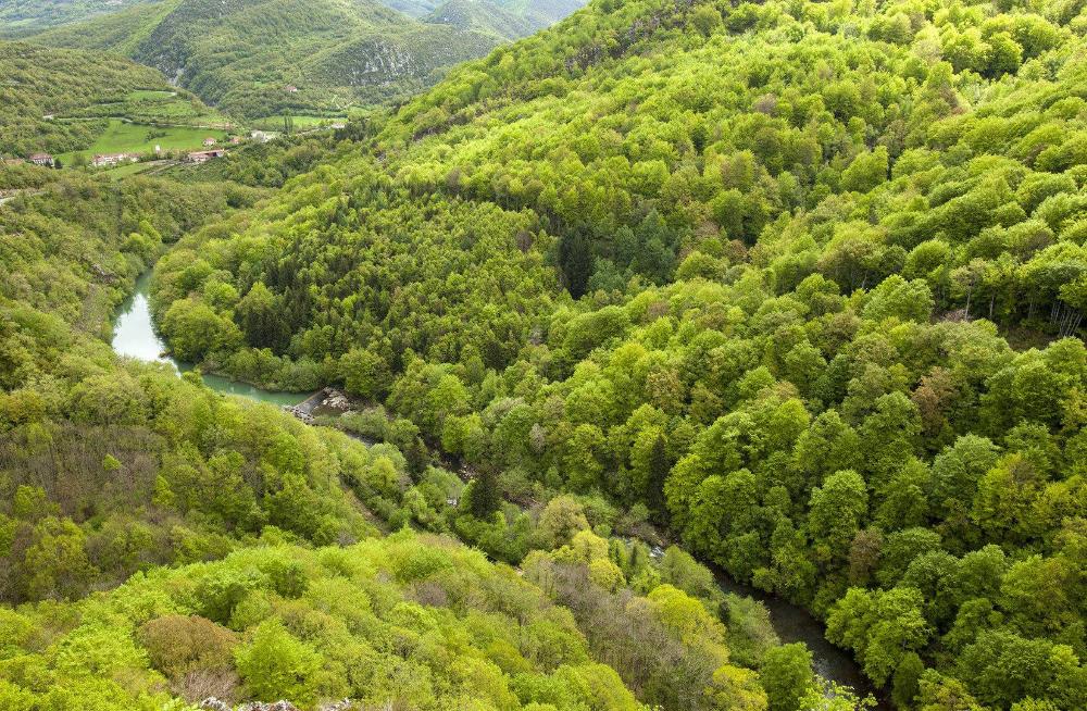 💛Disfruta del esplendor de la naturaleza, caminatas entre enormes hayedos, preciosos pueblos sacados de un cuento... y la tranquilidad de un entorno idílico.

👉¡Haz click en el link para conocer este paraíso natural!

visitnavarra.es/es/selva-de-ir…
#VisitNavarra #NavarraOtroTurismo