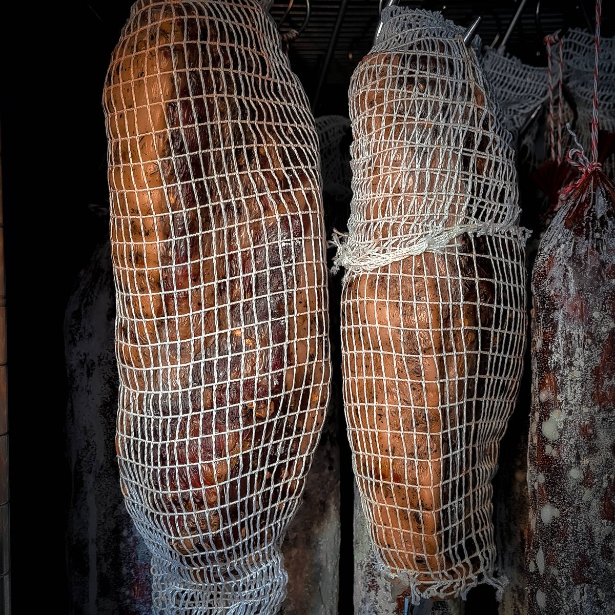 Bray Cured tweet media