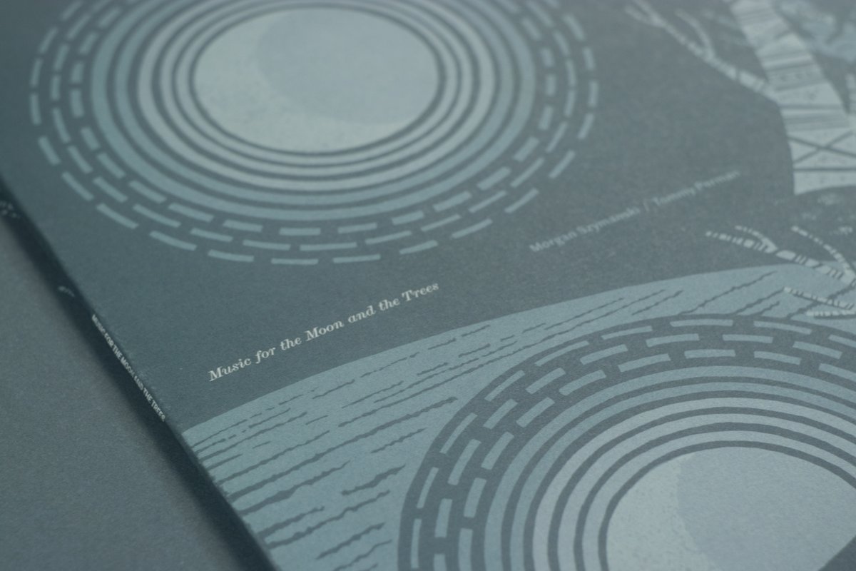 Tommy Perman tweet media