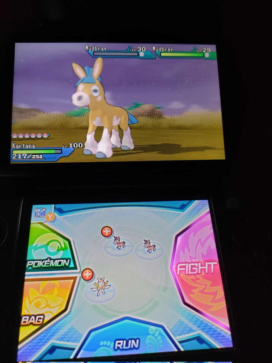 Shinygati's tweet image. Shiny Mudbray! #MethodMadness #ShinyPokemon