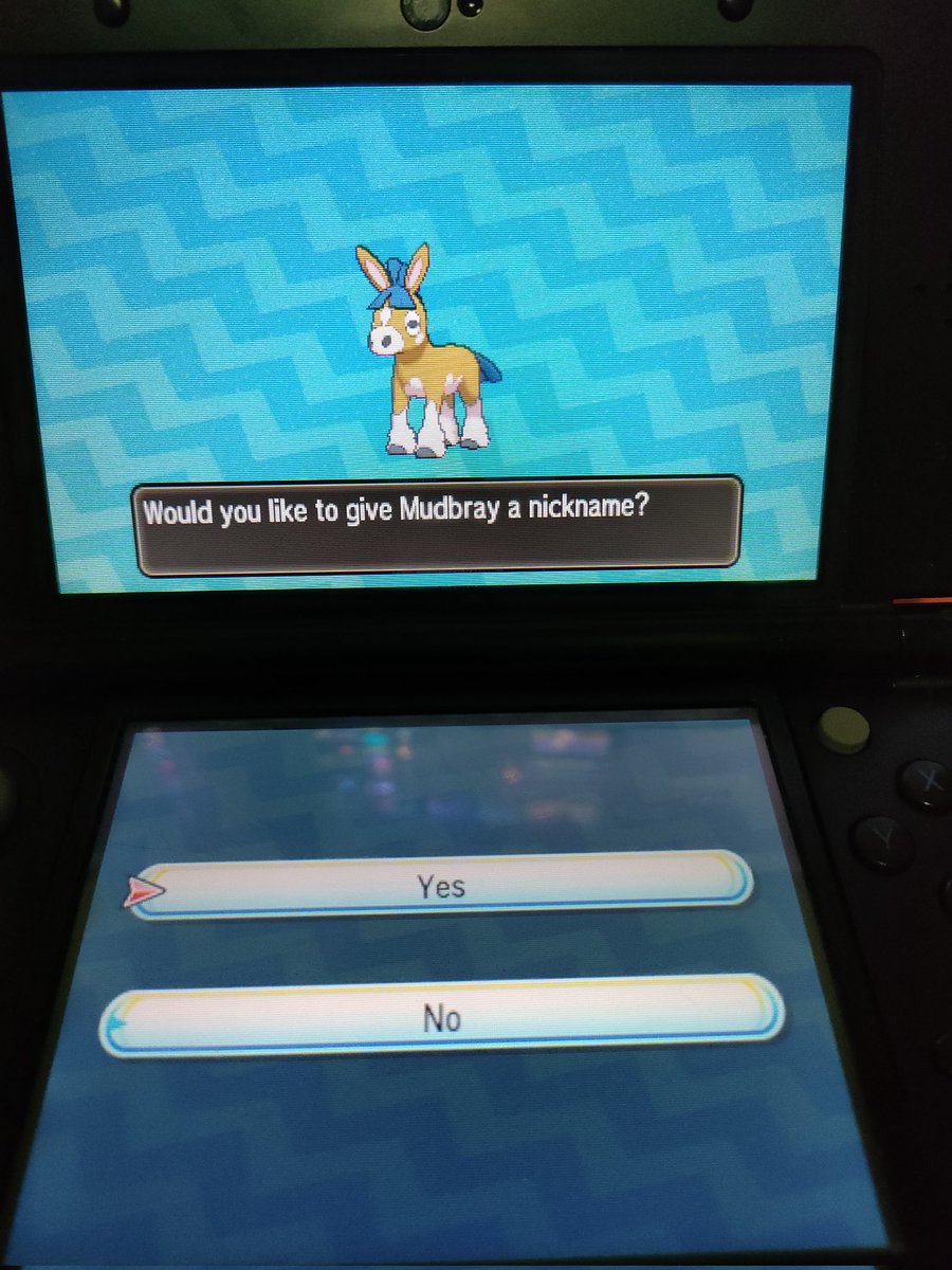 Shinygati's tweet image. Shiny Mudbray! #MethodMadness #ShinyPokemon