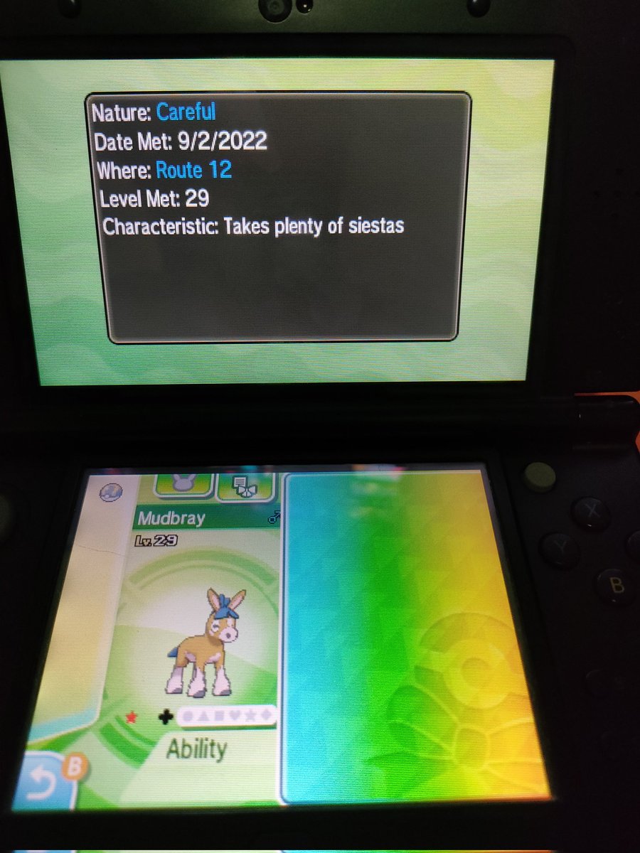Shinygati's tweet image. Shiny Mudbray! #MethodMadness #ShinyPokemon