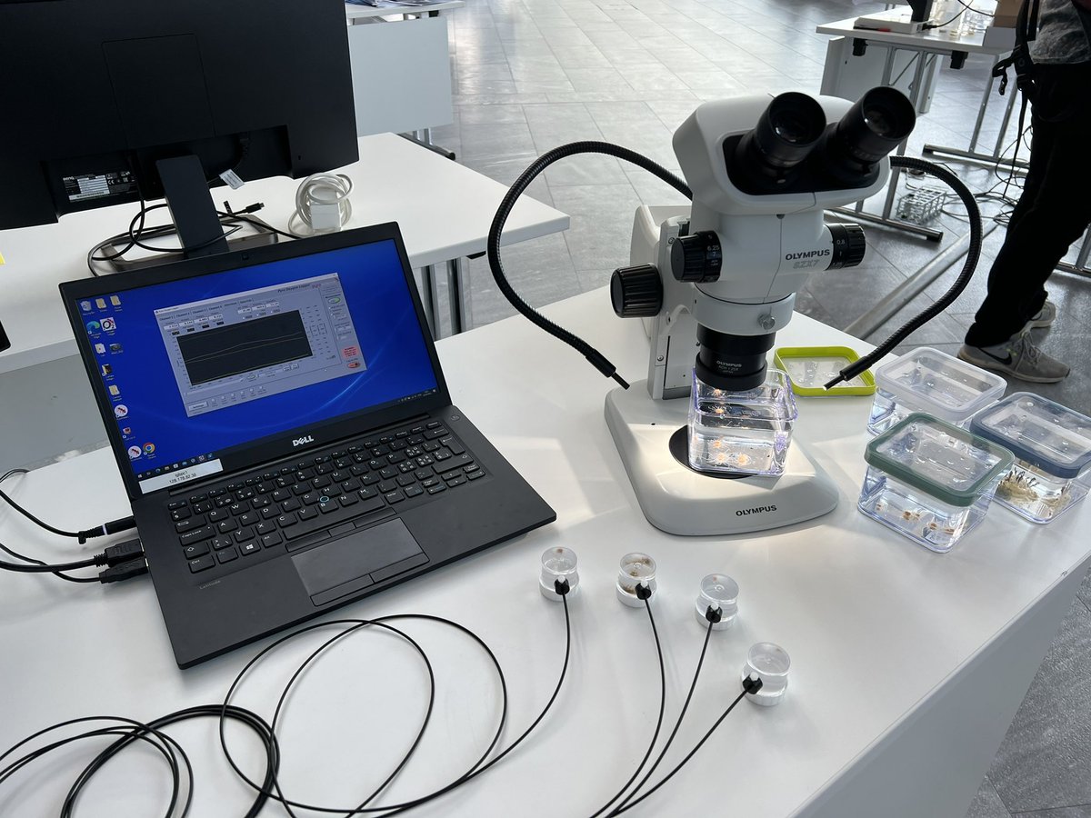 CloudyPogoreutz's tweet image. The Laboratory for Biological Geochemistry is at the #epflENAC 20th anniversary celebration @EPFLevents drop by if you’d like to  chat about #coralreefs research and conservation @NilsRadecker @GaelleToullec @epflENAC