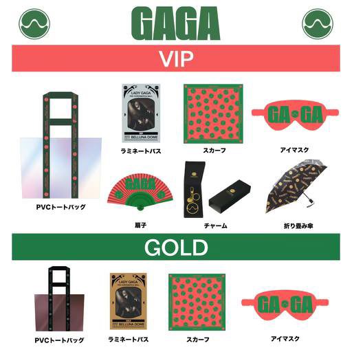 魅力的な レディガガlady gaga VIPグッズ 豪華11点chromatica アイドル