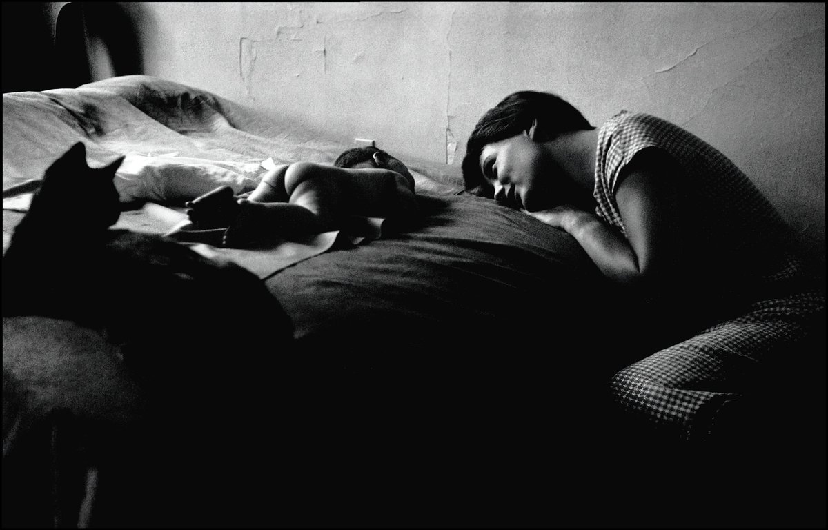 cameralab21's tweet photo. Elliott Erwitt - New York City - USA, 1953 https://t.co/DUUzHoIA7n