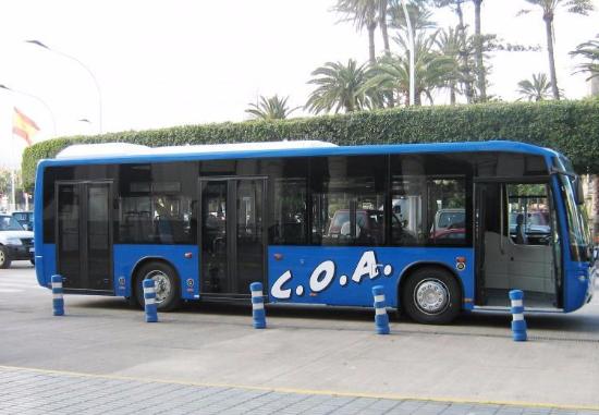 MedioAmbienteML's tweet photo. 🚌 Desde el día de ayer hasta el 31 de diciembre se aplicará un descuento del 30% en el transporte público de la ciudad, en concreto en los servicios de la COA. https://t.co/pdWplVSm1w