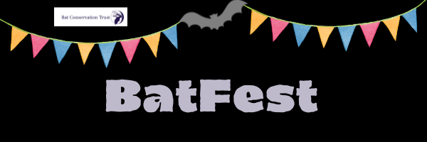 _BCT_'s tweet photo. Next week there is a full schedule of #BatFest events planned for you:
- Discover your local bats, 6 Sep 
- NightWatch Live on Instagram, 9 Sep
- Batty Sketch-a-long, 11 Sep 

All free but booking is required: https://t.co/7uK2XcoILX https://t.co/vEEnIU58TA